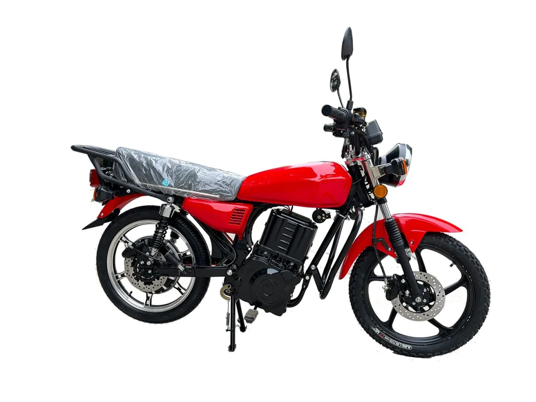 High-Speed Long-Distance New Model Electric Bike with EEC Certification Affordable Durable E-Scooter Electric Motorbike for Adult